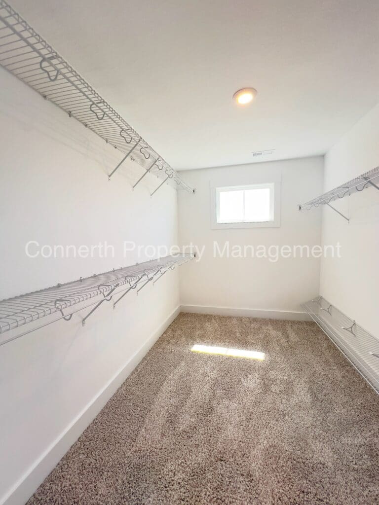 Empty walk-in closet with built-in shelves and carpet flooring, sunlight streaming through a small window.